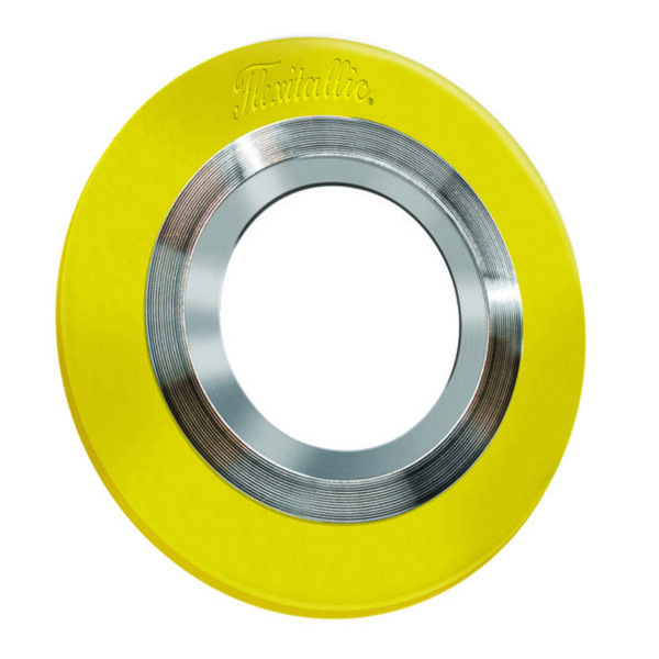 Spiral Wound CGI Gasket